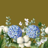 Grenze mit Hortensia, Baumwollblumen und Eukalyptus verzweigt sich auf einen Senfhintergrund Auch im corel abgehobenen Betrag Stockbilder Grenze mit Hortensia, Baumwollblumen und Eukalyptus verzweigt sich auf einen Senfhintergrund Auch im corel abgehobenen Betrag Stockbilder