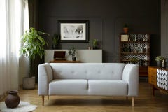 Grey couch in vintage living room interior with wooden cupboard, poster and plant. Real photo stock photo Grey couch in vintage living room interior with wooden cupboard, poster and plant. Real photo stock photo