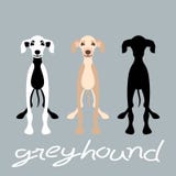 Greyhound dog set vector illustration style Flat silhouette stock illustration Greyhound dog set vector illustration style Flat silhouette stock illustration