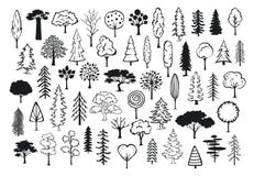Gribouillez les arbres décrits par silhouettes d'abrégé sur conifère de forêt de parc Image stock Gribouillez les arbres décrits par silhouettes d'abrégé sur conifère de forêt de parc Image stock