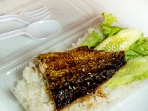 Grill fish on rice in plastic box, Take home food Stock Photo Grill fish on rice in plastic box, Take home food Stock Photo