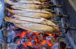 Grillad fisk med flammor royaltyfri fotografi Grillad fisk med flammor royaltyfri fotografi