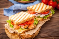 Grilled Chicken Sandwich Stock Photography