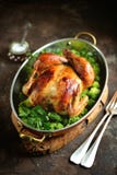 Grilled Chicken With Boiled Broccoli. Royalty Free Stock Images Grilled Chicken With Boiled Broccoli. Royalty Free Stock Images