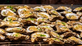 Grilled oysters with rice stock image Grilled oysters with rice stock image