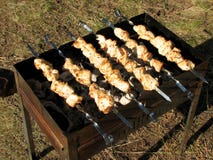 Grillfesthöna på ett galler i en skog i solljuset i summe royaltyfria foton Grillfesthöna på ett galler i en skog i solljuset i summe royaltyfria foton