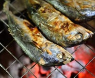 Grilling Of Mackerel Royalty Free Stock Photo
