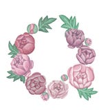 Grinalda de peônias cor-de-rosa em um fundo claro ilustração stock Grinalda de peônias cor-de-rosa em um fundo claro ilustração stock
