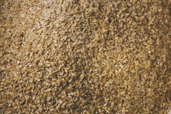 Grinded grains of barley malt close-up. Craft beer brewing from stock photography Grinded grains of barley malt close-up. Craft beer brewing from stock photography