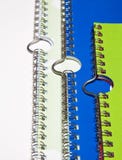 Grippaggio a spirale con il gancio Immagini Stock Libere da Diritti Grippaggio a spirale con il gancio Immagini Stock Libere da Diritti