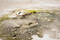 Groen Bevlekt Mineraal het Stomen van van het Detailyellowstone van de Warm waterpool het Nationale Park Stock Afbeeldingen Groen Bevlekt Mineraal het Stomen van van het Detailyellowstone van de Warm waterpool het Nationale Park Stock Afbeeldingen