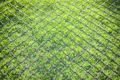 Groen die gras van een voetbalgebied door het netto doel wordt gezien stock afbeelding Groen die gras van een voetbalgebied door het netto doel wordt gezien stock afbeelding