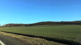 Groen gebied tegen heuvels met bomen in de vroege lente Weergeven van het bewegen van autoraam stock video Groen gebied tegen heuvels met bomen in de vroege lente Weergeven van het bewegen van autoraam stock video