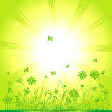 Groen gras, de zomerachtergrond stock illustratie Groen gras, de zomerachtergrond stock illustratie