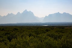 Groen grasgebied met de Bergen van Grand Teton op achtergrond royalty-vrije stock fotografie Groen grasgebied met de Bergen van Grand Teton op achtergrond royalty-vrije stock fotografie