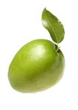 Groen jujubefruit stock fotografie Groen jujubefruit stock fotografie