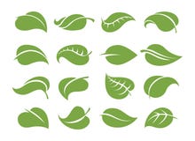 Groene bladerenpictogrammen royalty-vrije illustratie Groene bladerenpictogrammen royalty-vrije illustratie