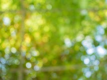 Groene bokeh op de textuurachtergrond royalty-vrije stock foto Groene bokeh op de textuurachtergrond royalty-vrije stock foto