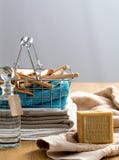 Groene DIY-wasserijingrediënten om stof met biologisch afbreekbare zeep te wassen Stock Foto Groene DIY-wasserijingrediënten om stof met biologisch afbreekbare zeep te wassen Stock Foto