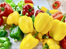 Groene paprika of Paprika stock afbeeldingen Groene paprika of Paprika stock afbeeldingen