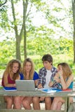 Groep jonge student die openlucht laptop met behulp van royalty-vrije stock foto's Groep jonge student die openlucht laptop met behulp van royalty-vrije stock foto's