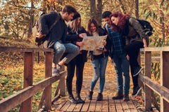 Groep jonge vrienden die in de herfst kleurrijk bos wandelen, bekijkend kaart en planningsstijging stock fotografie Groep jonge vrienden die in de herfst kleurrijk bos wandelen, bekijkend kaart en planningsstijging stock fotografie