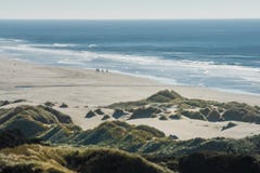 Groep ruiters op hun paarden en een troep van vogels op een strand stock fotografie Groep ruiters op hun paarden en een troep van vogels op een strand stock fotografie