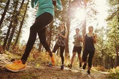 Groep van vier volwassenen die in een bos, lage hoek dicht omhoog lopen stock afbeelding Groep van vier volwassenen die in een bos, lage hoek dicht omhoog lopen stock afbeelding