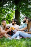 Groep vrienden die grote tijd op picknick in aard hebben stock foto Groep vrienden die grote tijd op picknick in aard hebben stock foto