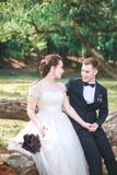Groom and bride together. Wedding romantic couple outdoor royalty free stock images Groom and bride together. Wedding romantic couple outdoor royalty free stock images