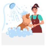 Groomer de chien Soin et hygi?ne professionnels de chien illustration de vecteur Groomer de chien Soin et hygi?ne professionnels de chien illustration de vecteur
