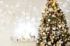 Grote boom thuis in een comfortabele atmosfeer royalty-vrije stock afbeelding Grote boom thuis in een comfortabele atmosfeer royalty-vrije stock afbeelding