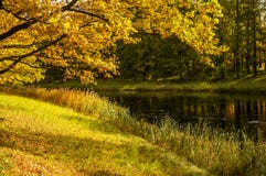 Grote cascadevijver in het park van Catherine in de de herfstochtend Stock Fotografie Grote cascadevijver in het park van Catherine in de de herfstochtend Stock Fotografie