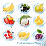 Grote inzameling van fruit in de pictogrammen van een waterplons vector illustratie Grote inzameling van fruit in de pictogrammen van een waterplons vector illustratie
