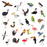 Grote vector geplaatste vogels stock illustratie Grote vector geplaatste vogels stock illustratie