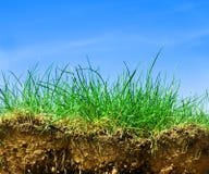 Ground, grass, sky cross section