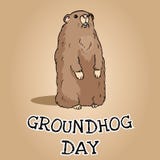 Groundhog dnia poczt?wka ?liczny kresk?wki groundhog wizerunek ilustracji Groundhog dnia poczt?wka ?liczny kresk?wki groundhog wizerunek ilustracji