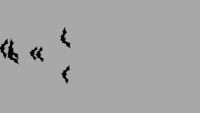 Group Of Bats Flying From One Side To Another Alpha Channel