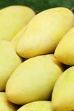 Group of close-up yellow ripen fresh sweet mangoes from fruit orchard, famous asia summer souvenir stock photography Group of close-up yellow ripen fresh sweet mangoes from fruit orchard, famous asia summer souvenir stock photography