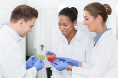 Group of food laboratory researchers comparing results royalty free stock photos Group of food laboratory researchers comparing results royalty free stock photos