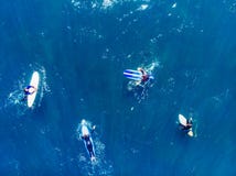 Group of novice surfers are learning to embark on wave. Aerial top view royalty free stock photo Group of novice surfers are learning to embark on wave. Aerial top view royalty free stock photo