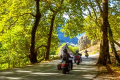 Group Of Motorcyclists On A Mountain Forest Road Royalty Free Stock Images
