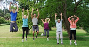 Group of people exercising together in the park stock footage Group of people exercising together in the park stock footage