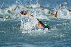 Group people in wetsuit swimming royalty free stock image Group people in wetsuit swimming royalty free stock image
