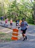 Group of Runners, 2021 Blue Ridge Marathon