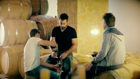 Groupe de goût du vin de boisson de versement de trois hommes dans le verre et l'échantillon à goûter clips vidéos Groupe de goût du vin de boisson de versement de trois hommes dans le verre et l'échantillon à goûter clips vidéos