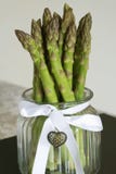 Groupe de montant frais d'usine d'officinalis d'asperge dans le pot décoratif images libres de droits Groupe de montant frais d'usine d'officinalis d'asperge dans le pot décoratif images libres de droits