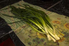 Groupes frais verts d'oignon sur le tabel photos stock Groupes frais verts d'oignon sur le tabel photos stock