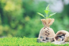 Growing plant on Money bag with stack of coins money on natural stock photos Growing plant on Money bag with stack of coins money on natural stock photos