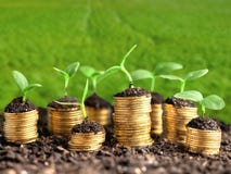 Growth, green, business Royalty Free Stock Photos Growth, green, business Royalty Free Stock Photos